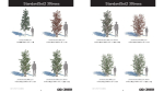 StandardSet2 30trees