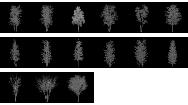 StandardSet2 30trees