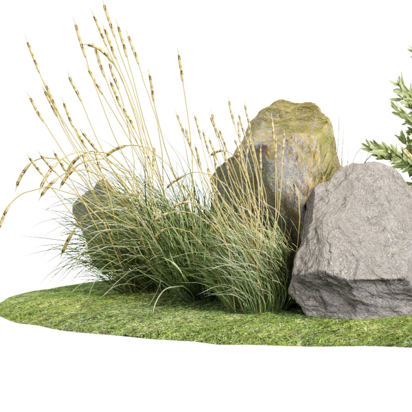 Stone and Bush Pack 29