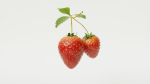 STRAW BERRY