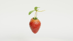 STRAW BERRY
