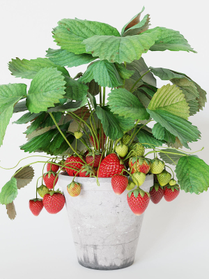 strawberry-in-pot-3d-model-max-obj-fbx-blend