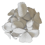 Strawberry in pot