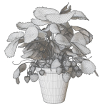 Strawberry in pot