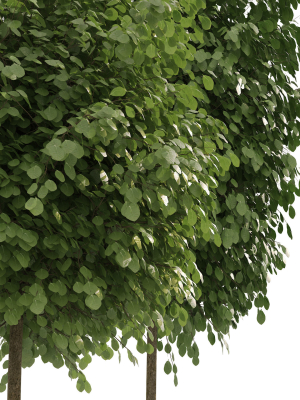 street-landscape-trees-3d-model-low-poly-max-obj-fbx-c4d-stl