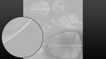 Strelitzia nicolai leaves texture