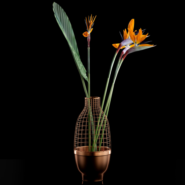 Strilicia in Grid Vase
