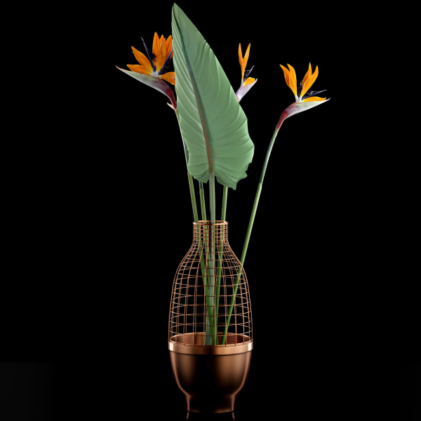 Strilicia in Grid Vase