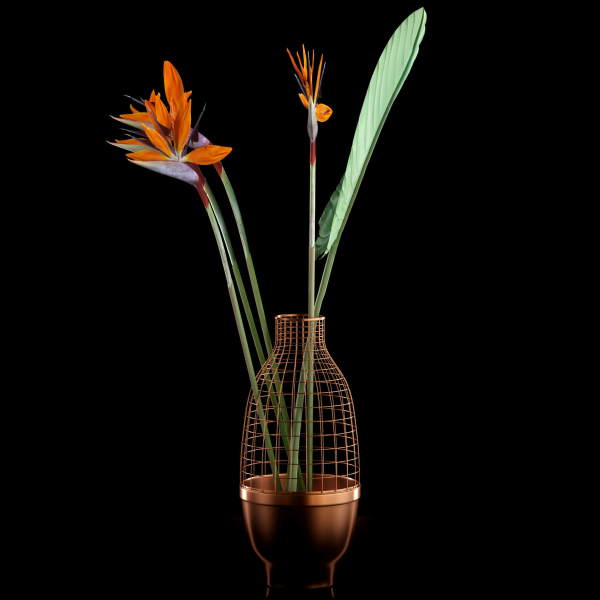 Strilicia in Grid Vase