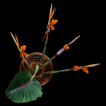 Strilicia in Grid Vase