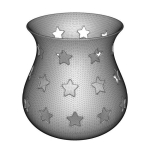 Stylish Star Flower Vase
