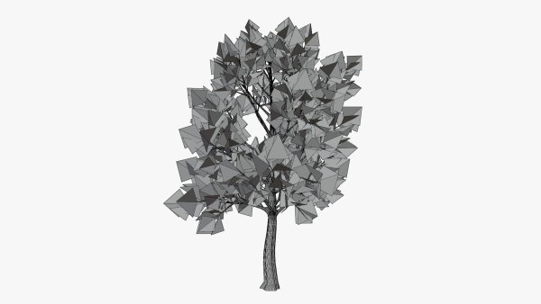 Stylized Cartoon Beech Tree