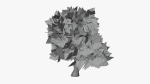 Stylized Cartoon Oak