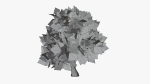 Stylized Cartoon Oak