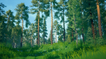 Stylized Environment - Forest Package 2