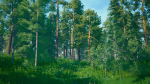 Stylized Environment - Forest Package 2
