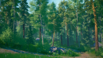 Stylized Environment - Forest Package 2