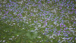 Stylized Ground Materials