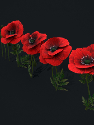Stylized handpainted Poppy