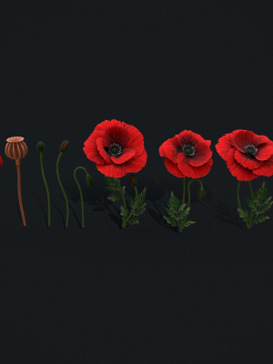 stylized-handpainted-poppy-3d-model-a5fabb513d