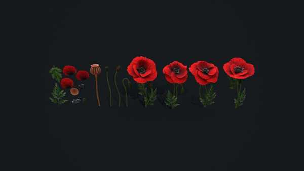 Stylized handpainted Poppy