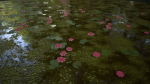 Stylized lake water material