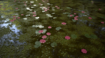 Stylized lake water material
