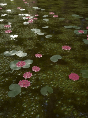 Stylized lake water material
