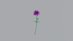 Stylized Plants Pack pbr