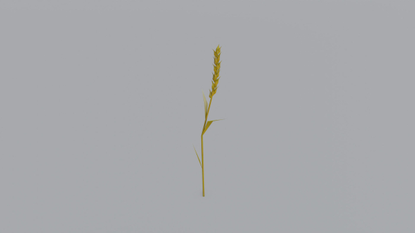 Stylized Plants Pack pbr