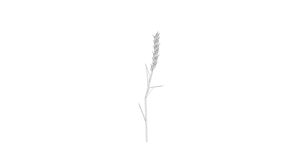 Stylized Plants Pack pbr