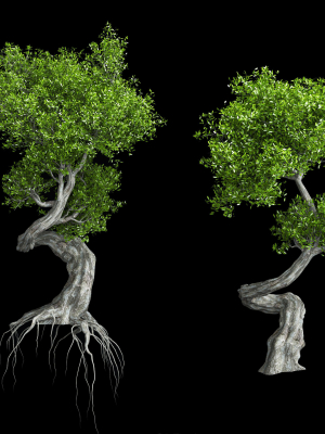 Stylized Tree