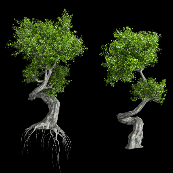 Stylized Tree