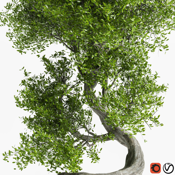 Stylized Tree