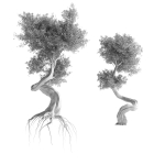 Stylized Tree