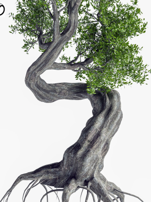 stylized-tree-3d-model-ccbc094225