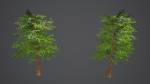 Stylized Tree