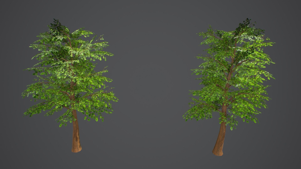 Stylized Tree