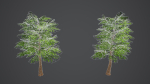 Stylized Tree