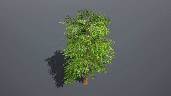 Stylized Tree