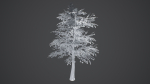 Stylized Tree