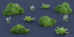 Stylized Tropical Nature and Foliage Kit
