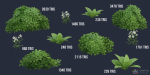 Stylized Tropical Nature and Foliage Kit