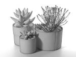 Succulent Pot Set with Echeveria and Rosemary Plants
