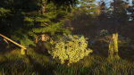 Summer forest
