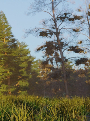 summer-forest-3d-model-c180ad5eca