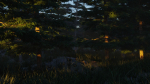 Summer forest