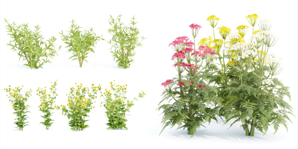 Summer Plants collection vol 123
