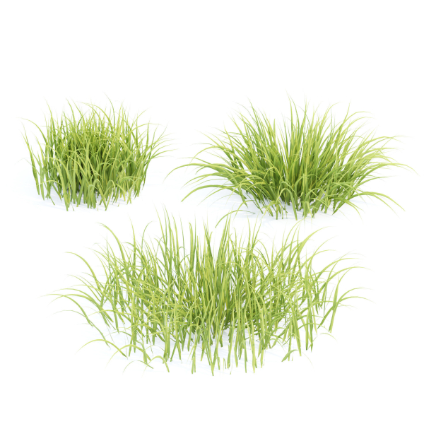 Summer Plants collection vol 123