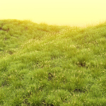 Summer Wild Grass collection vol 224-Blender